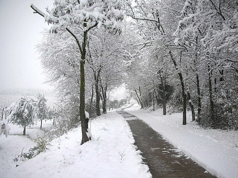Panorami innevati